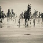 Chihuahua prohíbe carreras de caballos y jaripeos tras mortales ataques armados